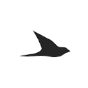 ekster_com