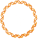 rapidemic_com